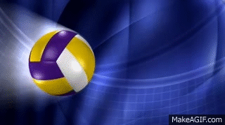 volleyball animation GIF